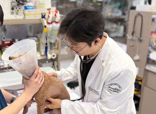 "반려동물 암, 생각보다 흔하다"…수의사가 말한 림포마 조기 신호