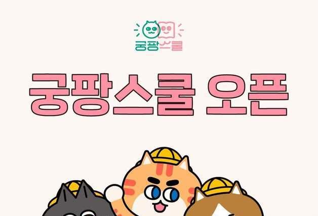 "아플 때 알면 늦는다"…궁디팡팡 캣페스타 부산, 냥집사 필수 강의