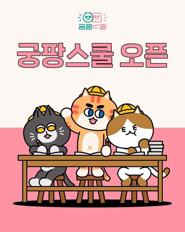 "아플 때 알면 늦는다"…궁디팡팡 캣페스타 부산, 냥집사 필수 강의