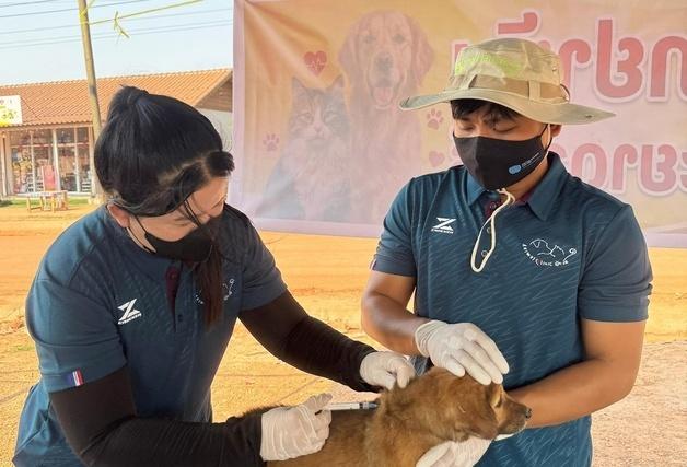 국경없는 수의사회 라오스지부, '광견병 제로 프로젝트' 진행