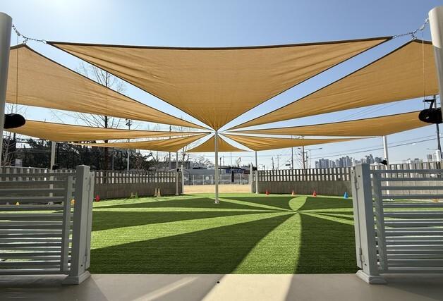 대전 중구, 반려견 에너지파크 새단장…'혹서기 야간 개장' 도입