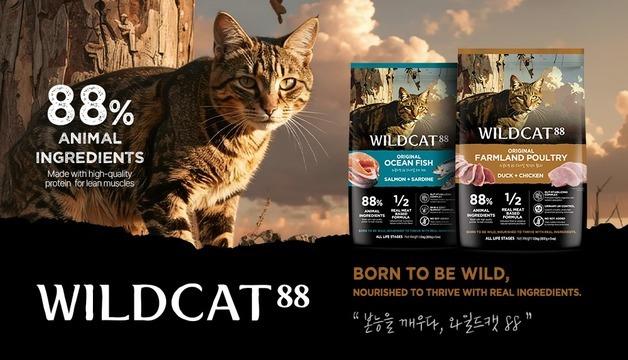 캣푸드 브랜드 '와일드캣88' 출시…"고양이 본능 맞춤형 설계"