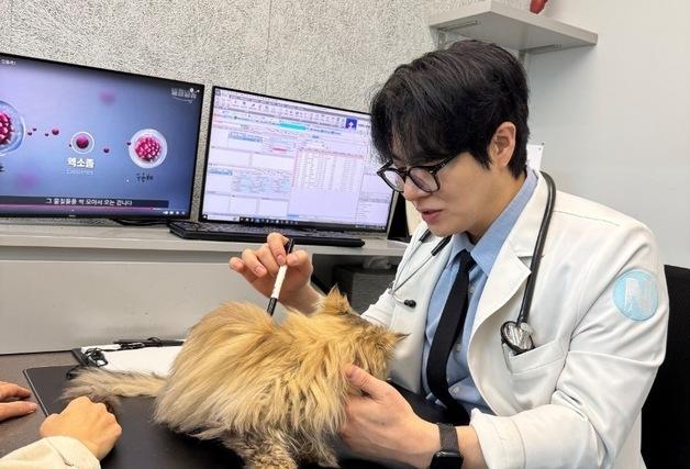 “20세까지 아프지 않게”…줄기세포 치료, 고양이 삶 바꿀까