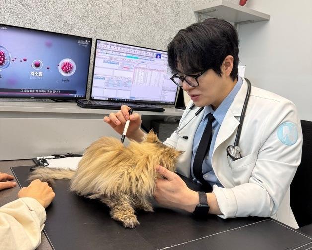 “20세까지 아프지 않게”…줄기세포 치료, 고양이 삶 바꿀까
