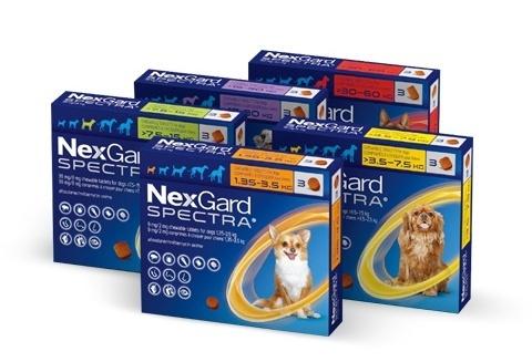 반려동물 구충제 넥스가드 스펙트라, 누적 판매 2000만회분 돌파