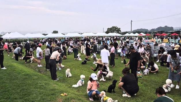 "반려동물 친화 도시로"…놀이터 늘리고 유기 방지 힘쓰는 시흥시