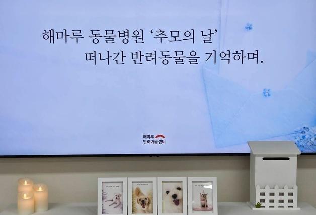 해마루동물병원 반려마음센터 '추모의 날'…"원내에서 보호자 위로"