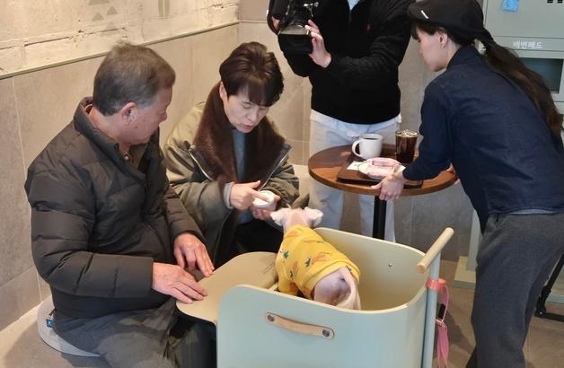 "눈치보지 않고 강아지와 이용할 수 있어 마음 편해…시설도 쾌적"