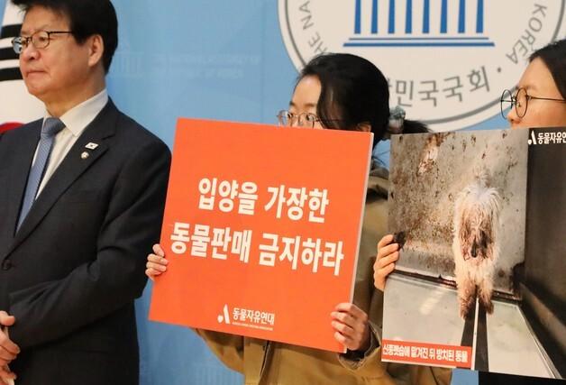 "동물 보호한다더니 돈 장사"…신종 펫숍 피해 국회서 폭로