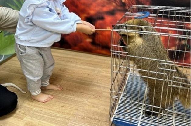 어린이 먹이주기 체험, 이대로 괜찮나…동물원 체험 실태 공개