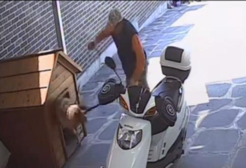 이 집 개가 아닌데…엉뚱한 집 반려견 올무로 잡아간 개장수