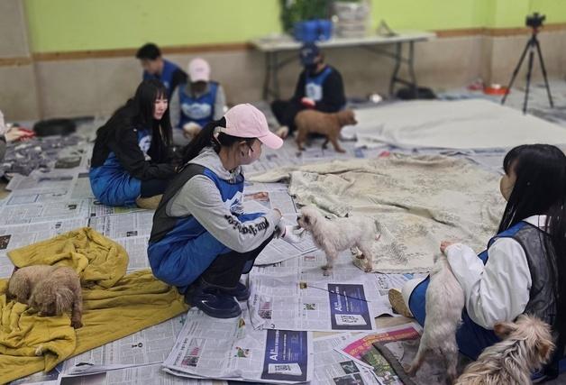 '블루엔젤' 고원희·김소라·안혜경…고양이쉼터·보호견 입양 홍보