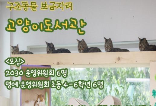 "'고양이도서관' 구조동물 입양 홍보 함께 해요"…2030·어린이 위원회 모집