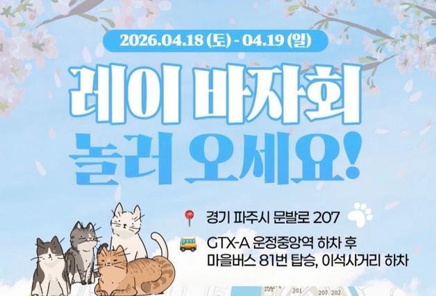 "벚꽃 아래 200마리 고양이"…파주 디어레이 바자회 18~19일 개최