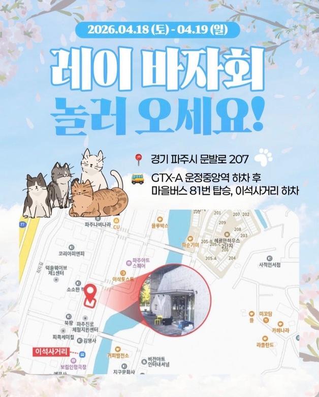 "벚꽃 아래 200마리 고양이"…파주 디어레이 바자회 18~19일 개최