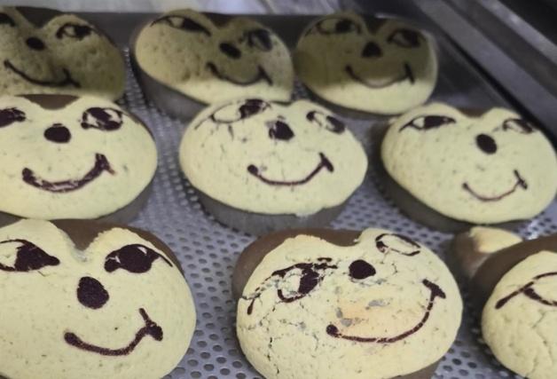 온동네 '늑구' 열풍…굿즈·빵 출시, 관광콘텐츠·스포츠까지 들썩