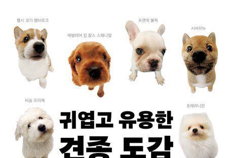 "반려견 선택의 새로운 나침반"…강아지 185종의 특징을 한눈에