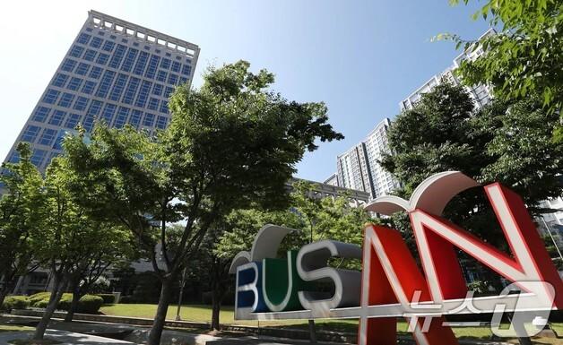 "재개발로 오갈 데 없어진 길고양이 구하라"…부산시, 임시보호소 조성