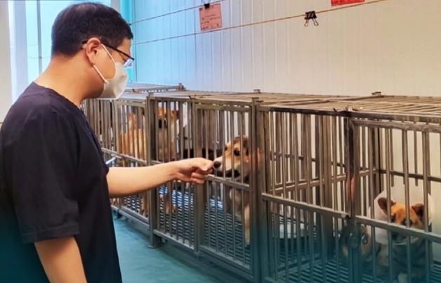 부산 유기동물, 입양 전부터 관리된다…건강검진·등록 체계 구축