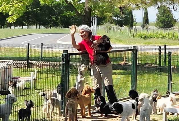 "역시 로얄캐닌"…사료 한알에 담은 과학, 400마리 개·고양이가 입증