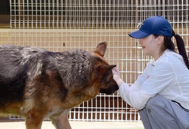 "반려동물 위한 더 나은 세상"…로얄캐닌코리아, 보호소 봉사