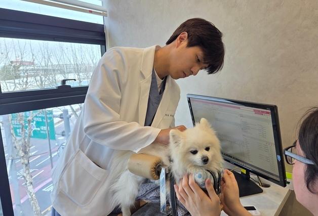 "수의계 공유라 불린다"…통합의학으로 치료를 '디자인'하는 수의사