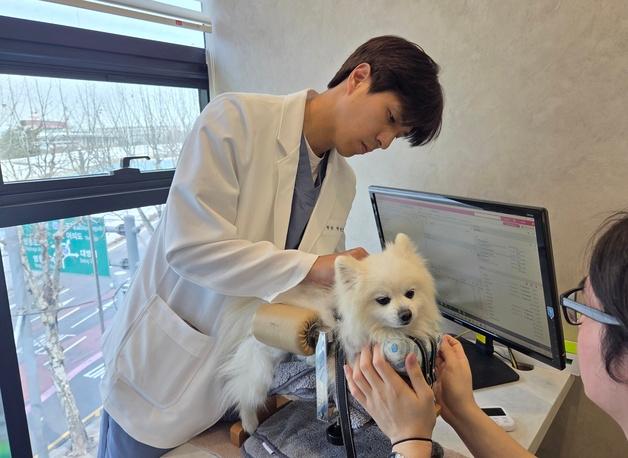 "수의계 공유라 불린다"…통합의학으로 치료를 '디자인'하는 수의사