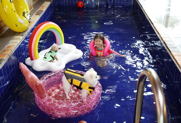 태안군, 반려동물 동반 여행객 유치…최대 3만원 숙박 할인