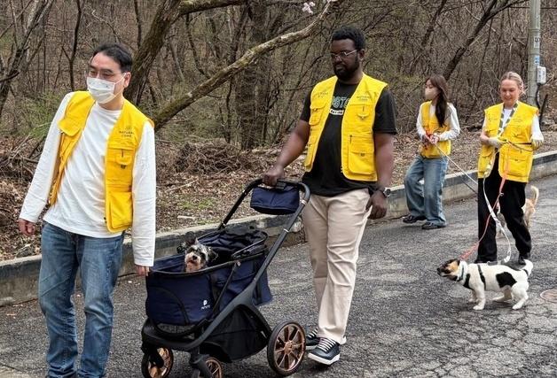 네츄럴코어 '글로벌 프렌즈 봉사단', 보호동물 해외 입양도 돕는다