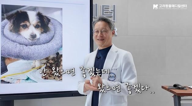 "보고 싶지만 안 왔으면"…총담관 폐색 치료한 수의사가 남긴 말