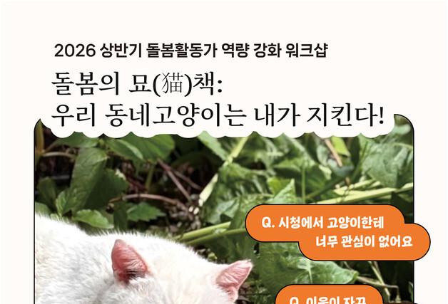 "민원부터 지자체 대응까지"…길고양이 돌봄 실전 교육 열린다