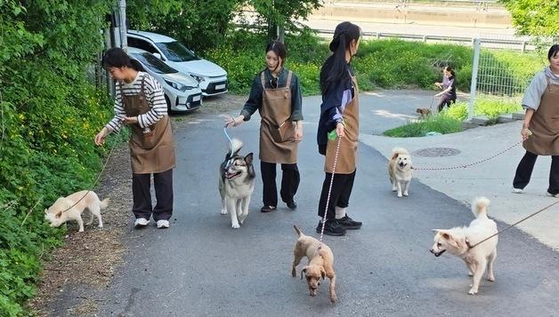 "번식장 구조 영상에 울컥"…시몬스 직원들, 동물 보호소 첫 봉사