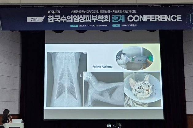 "반려동물 만성피부질환, 통합관리 필요"…최신 치료 트렌드는