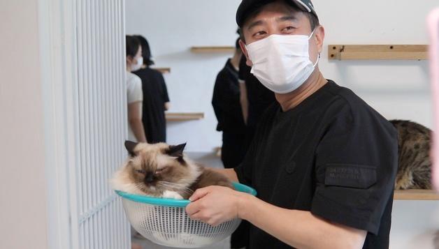 "퇴원한 고양이들 보고 싶어서"…보호소 찾은 동물병원 의료진