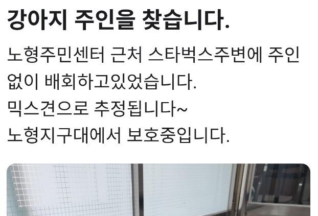 길 잃고 헤메던 강아지, 배달기사·경찰 도움으로 주인 찾아