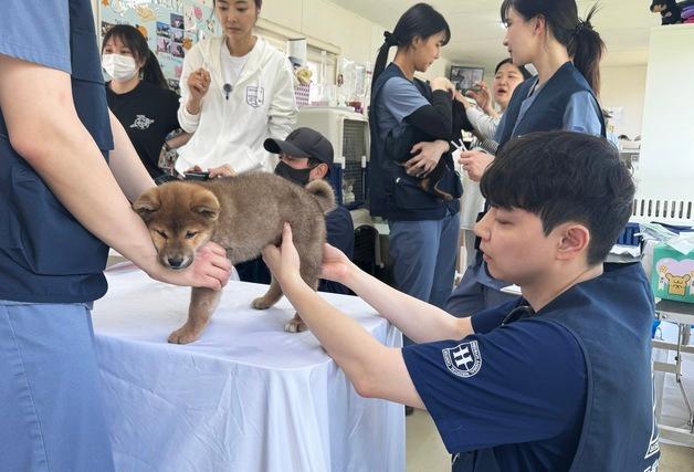 "지역과 함께하는 돌봄 실천"…해든동물의료센터, 보호소 의료봉사