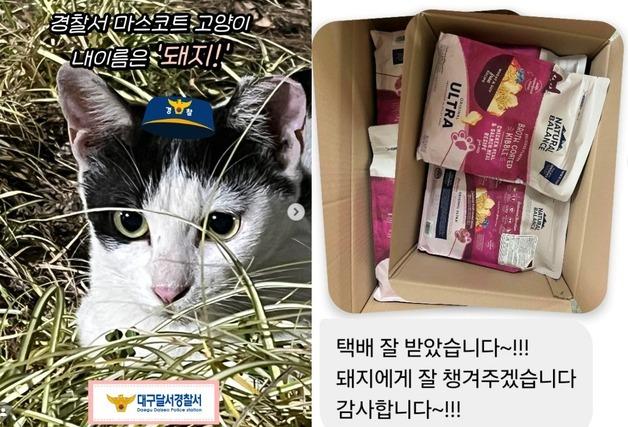 경찰서 마스코트 길고양이, 집 생기더니 반가운 선물도 도착