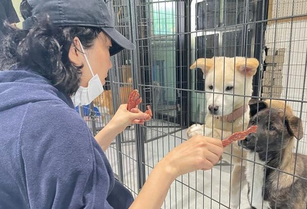 녹십자수의약품, 보호소에 심장사상충약 지원…이주영도 동참