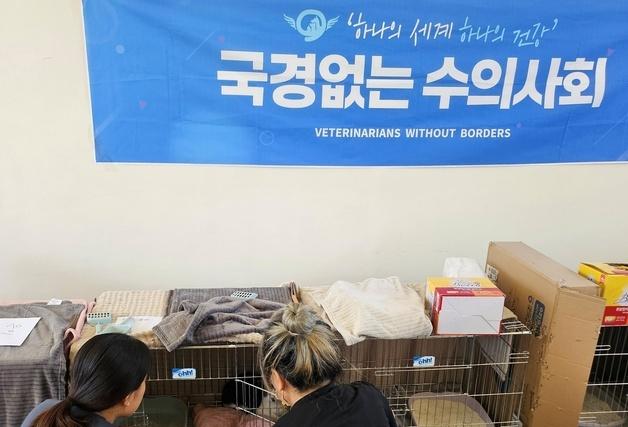 국경없는수의사회, 재개발 지역 길고양이 위해 광견병 예방접종