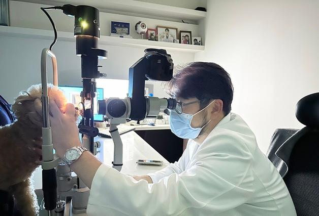 이룸안과치과동물병원, 안양서 확장 이전…"안과·치과 특화 진료"