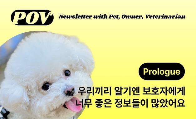 "메일로 매일 오는 주치의"…반려동물 뉴스레터 '포브' 발행