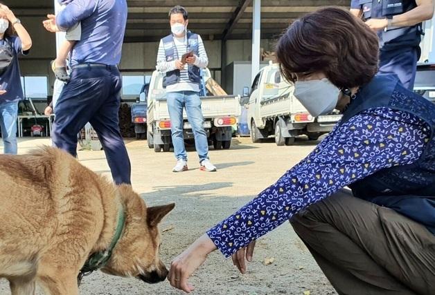 "동물학대자 소유권 상실·제한"…한정애, 동물보호법 개정안 발의