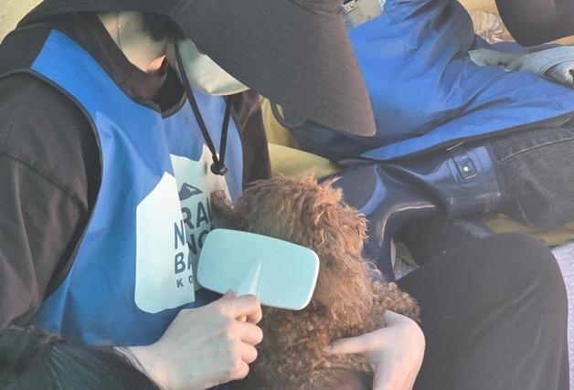 "사람 그리운 유기견들"…봉사 나선 블루엔젤 강지영·김립·김신