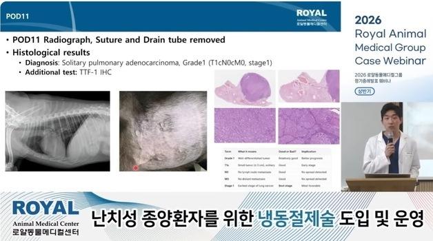 "예상 생존 2개월서 400일 넘겨"…로얄동물메디컬그룹 증례 공개