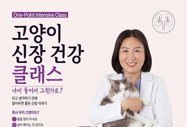 고양이 신장 건강, 무엇을 먹여야 할까…보호자 교육 클래스 열린다