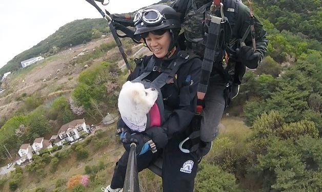"두 번 버려졌던 강아지"…11살 두부, 보호자와 하늘을 날다