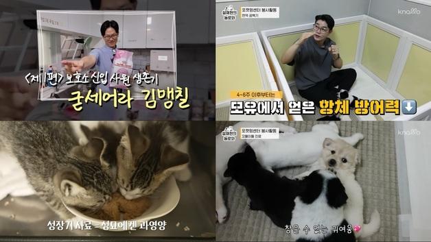 미야옹철·설쌤 "맞춤 영양 중요"…로얄캐닌 '건강한 한끼' 기부