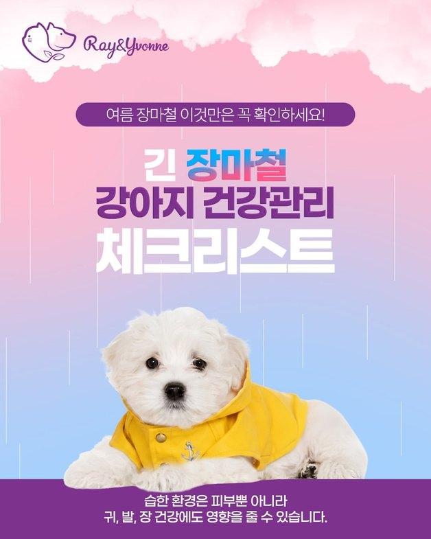 반려견 피부 건강도 '먹는 관리' 시대…장마철 영양관리법