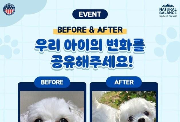 "우리 강아지 달라졌어요"…내추럴발란스 급여 후기 이벤트