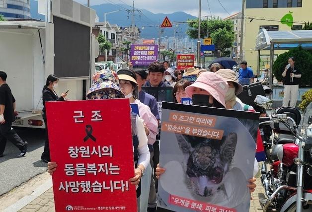 창원서 길고양이 빙초산 학대 규탄 집회…"엄중 처벌해야"